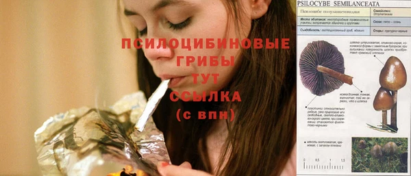 apvp Алексеевка